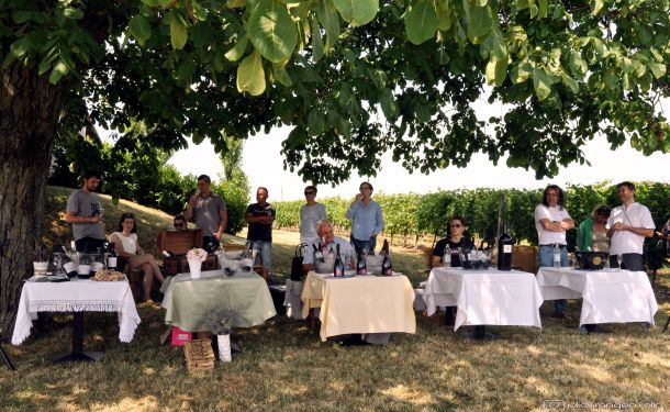 pjenusavi-dorucak-u-vinogradu-ilok-1