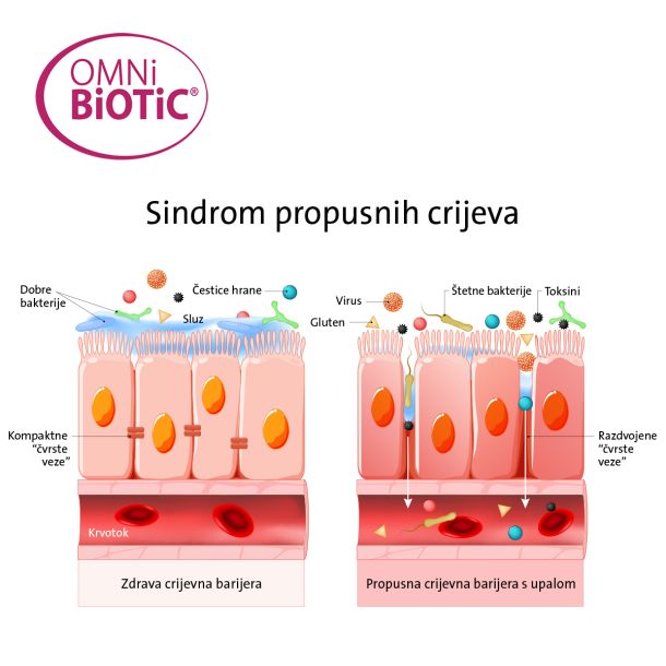 propusna-crijeva