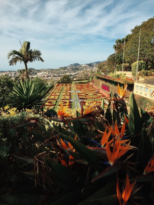 Funchal glavni grad madeira otoka