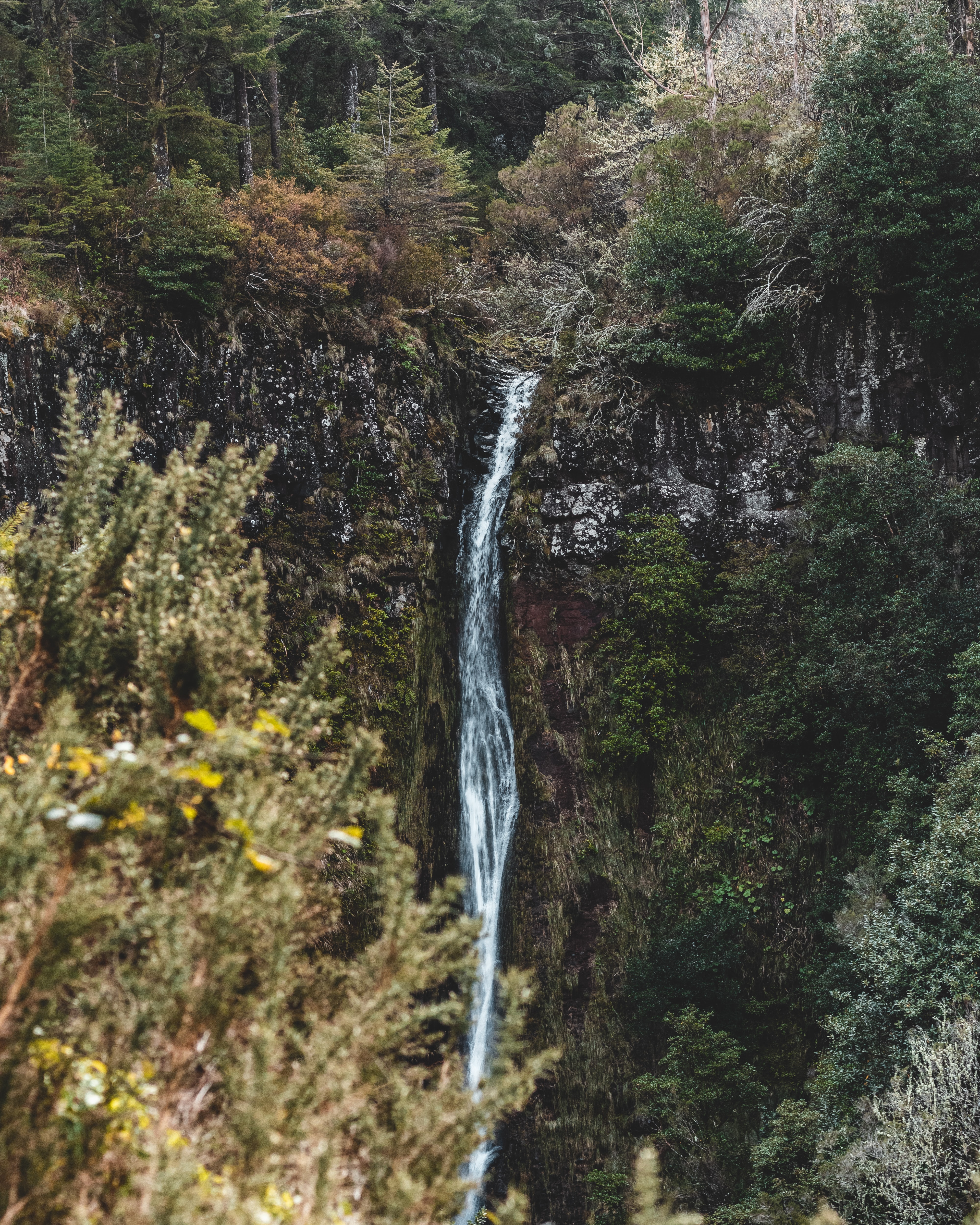 Ribeiro Frio nacionalni park madeira