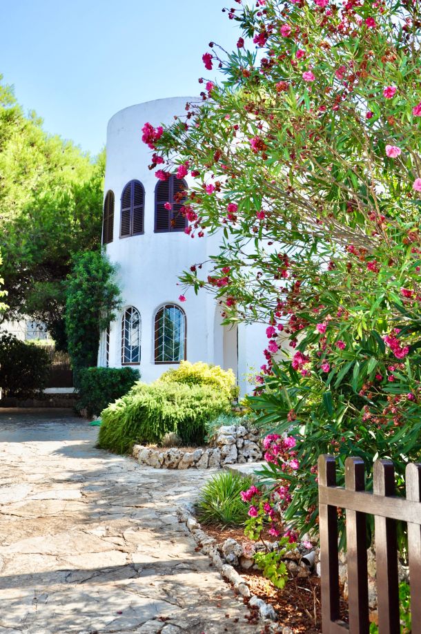 maderia otok atlantik