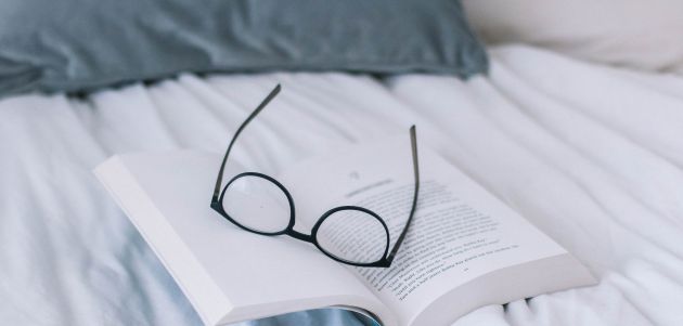 knjiga roman pcelar iz alepa