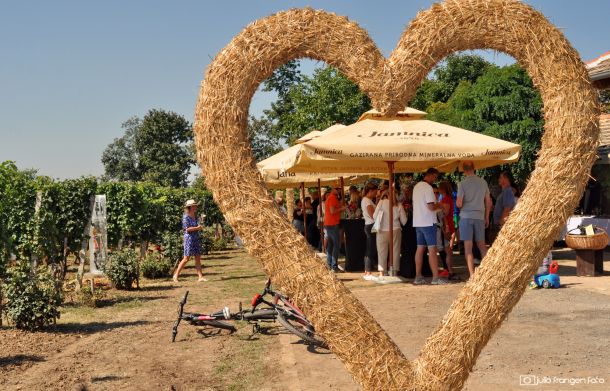 pjenusavi-dorucak-erdut-5