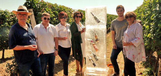 pjenusavi-dorucak-erdut