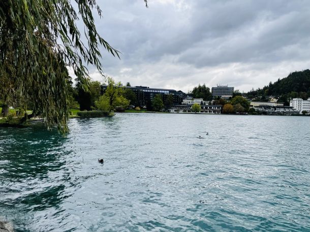 jezero bled slovenija