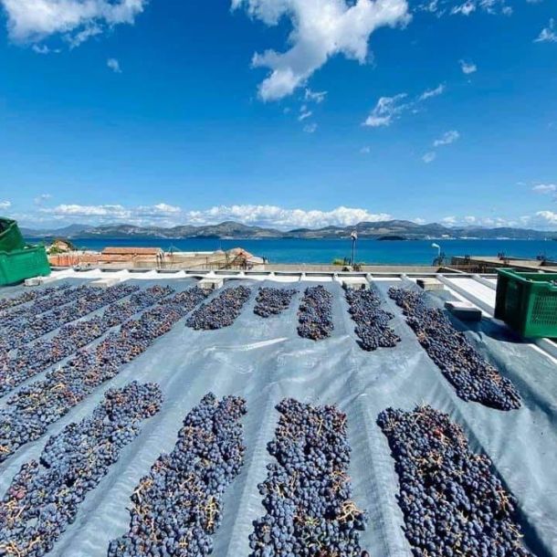 vina-peljsac-janjina-2