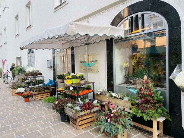 cvjecarnica graz