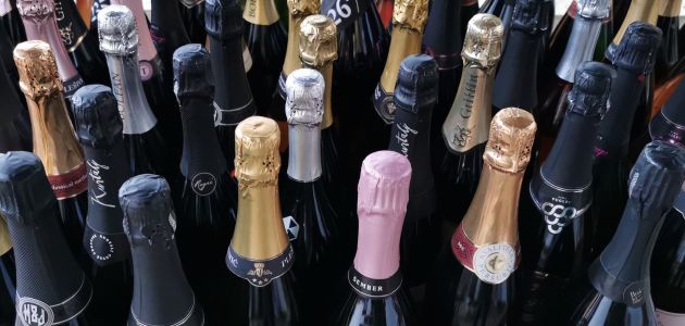 the-flute-stars-pjenusci