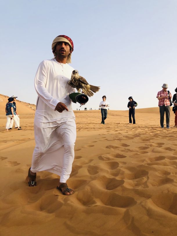 pustinja dubai sokolar