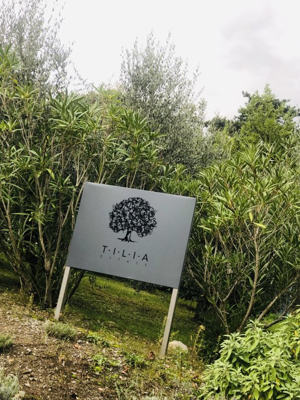 TILIA estate vipaska dolina