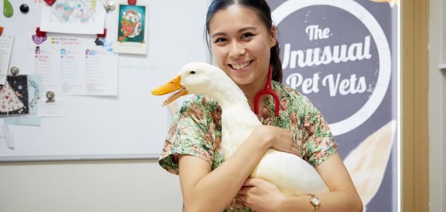 doktori-za-egzoticne-ljubimce