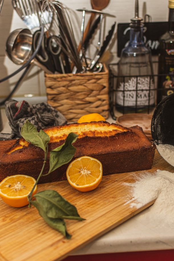 kolac-Iivan-temsic-2