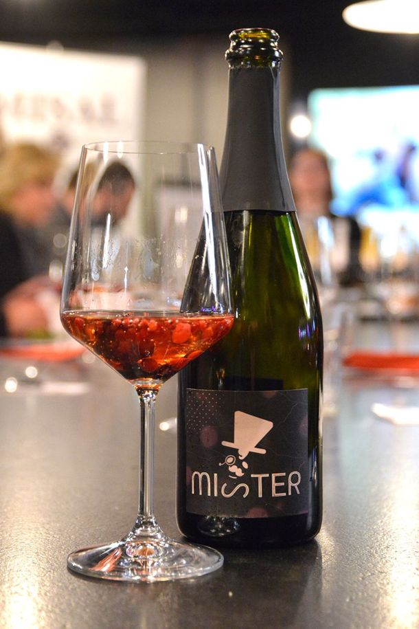 razgovori-misal-pjenusac-1