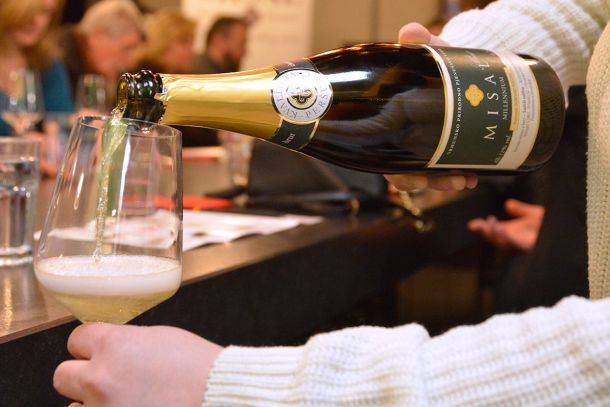 razgovori-misal-pjenusac-6