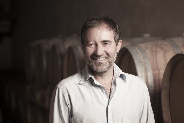 Moreno Coronica vinarija istra