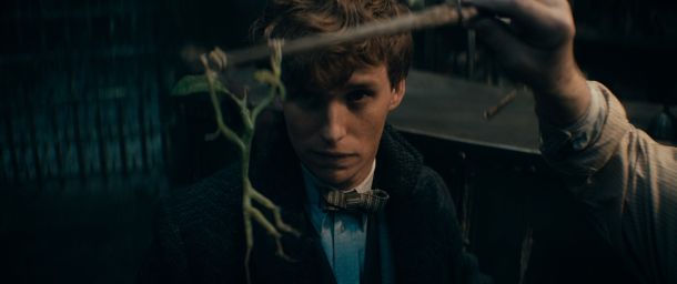 cudesne-zvijeri-dumbledoreove-tajne-6