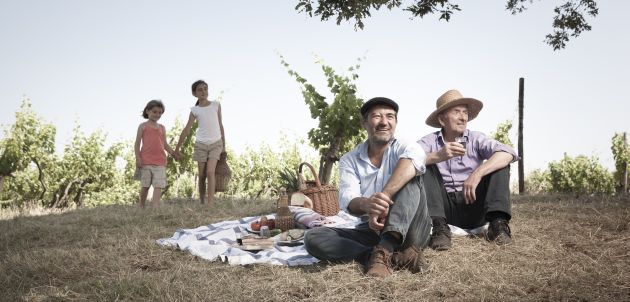 Teran napokon dobiva zasluženi status velikog crnog vina iz Istre