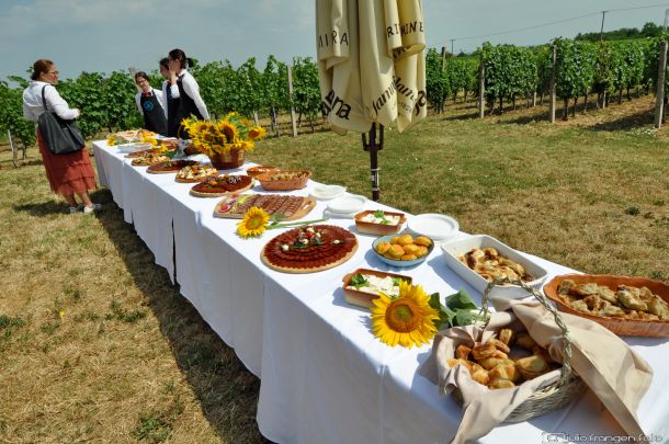 Pjenušavi doručak u vinogradu Ilok