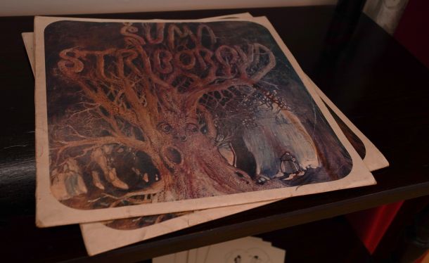 Foto_arhiva fotografija grada Slavonskog Broda_Kuća Ivane Brlić Mažuranić_05