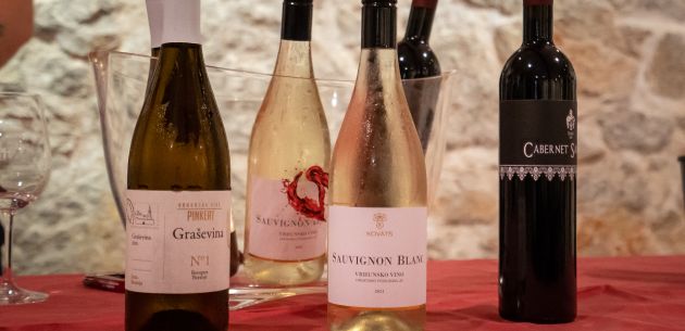 Kako je bilo na mini vinskom festivalu In vino veritas