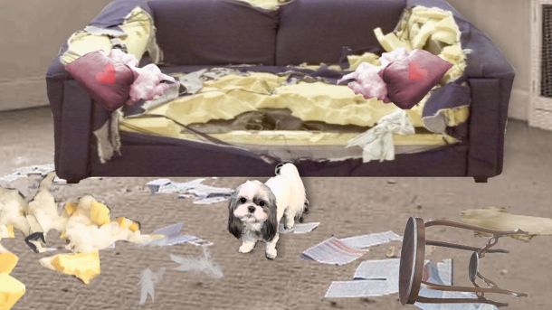 crtani jednominutni film