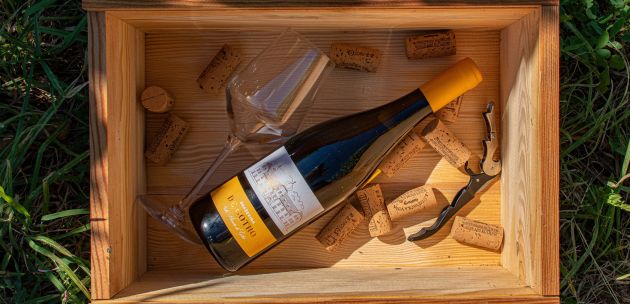 Graševina de Gotho 2020. – Puni sjaj kutjevačkog vinogorja