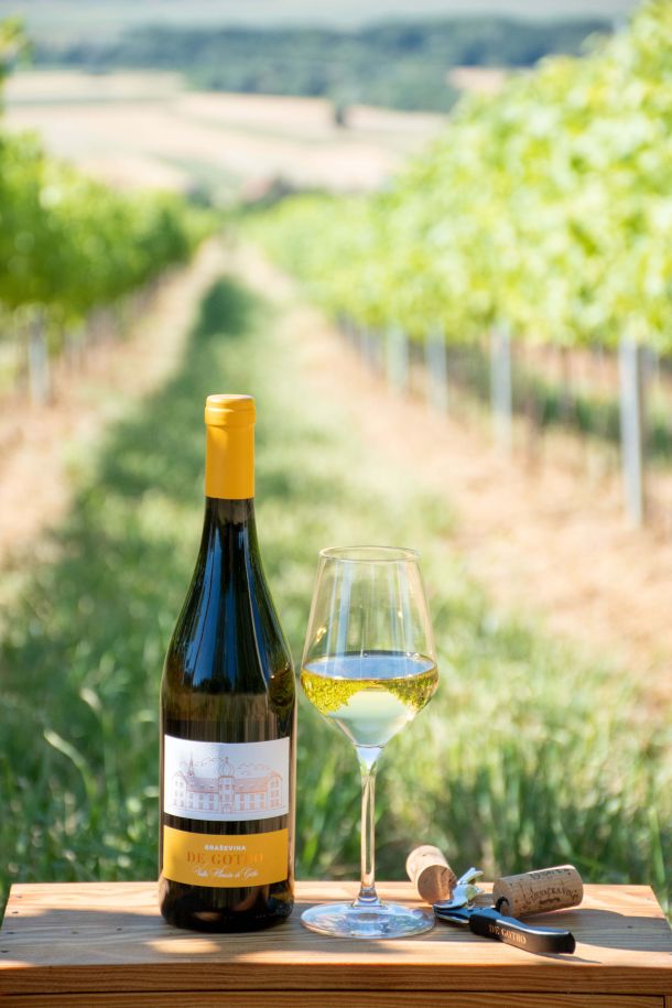 vino grasevina DeGotho_1