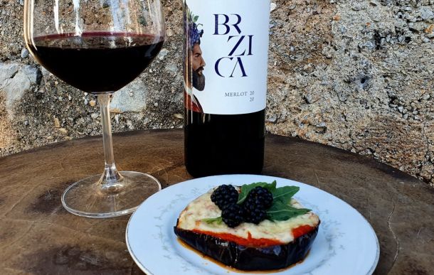 Brzica Merlot 2022 i kupine