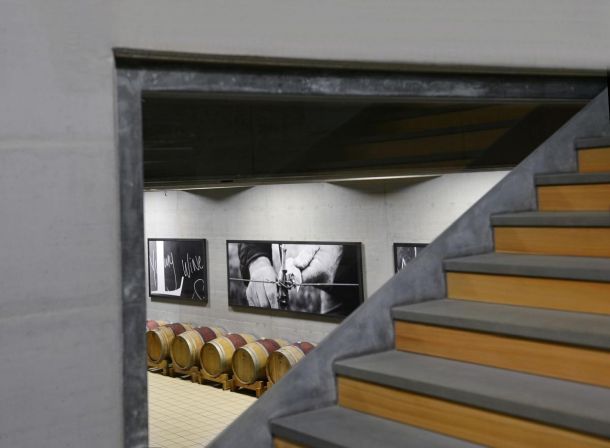 Kozlović_-_vinarija_galerija_10