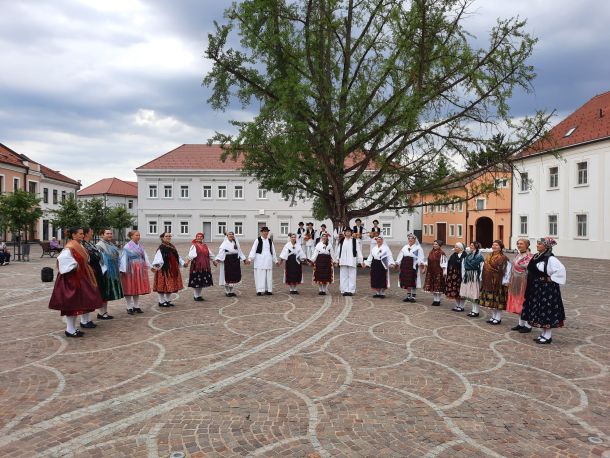 Zlatne žice Slavonije narodna nosnja
