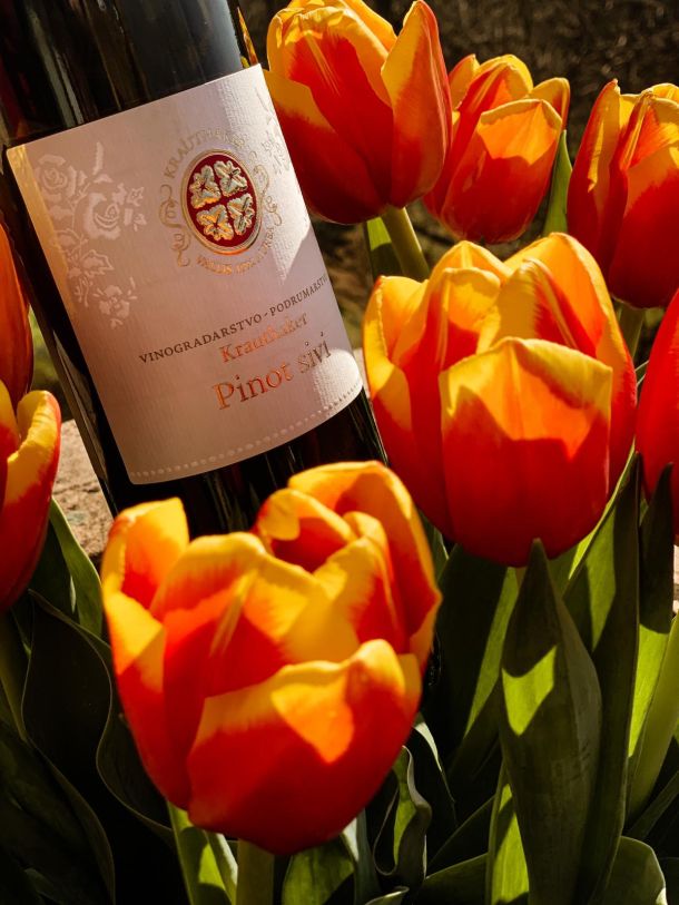 bijelo vino Krauthaker Pinot sivi