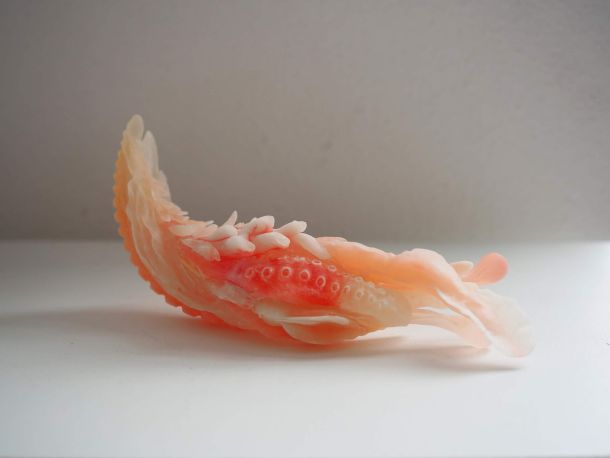 hrana Tiger Penis Project