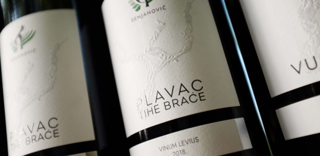 senjanović plavac levius (4)