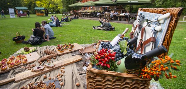 vinski Piknik planina Jankovac