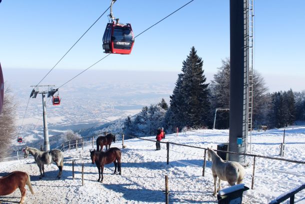 djecji-zimski-kamp-vodenih-sportova-skijanja-4