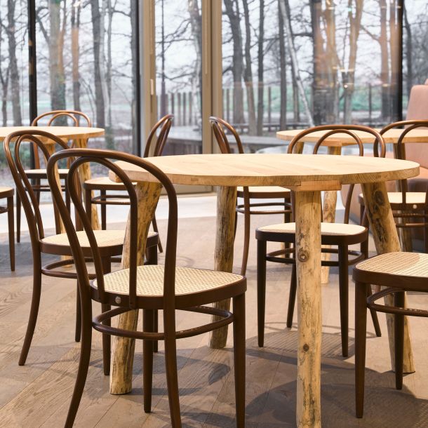 stolica thonet 14 becke kavane