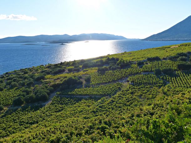 otvorena-vrata-peljesac-1