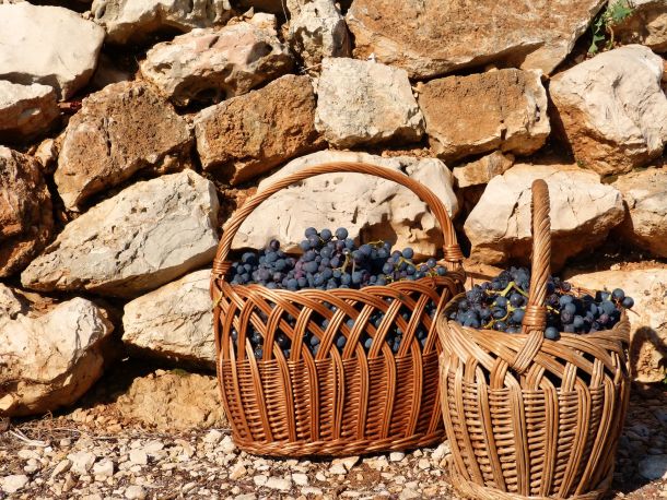 otvorena-vrata-peljesac-7