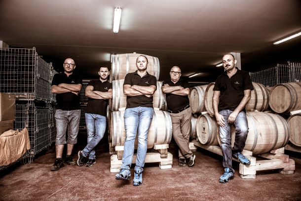 vinograd-volarevic-nagrada-4