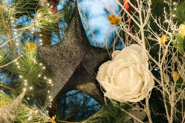 advent-sare-bota-restoran-7