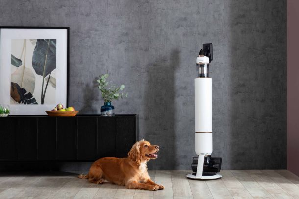 ljubimci-bespoke-jet-1