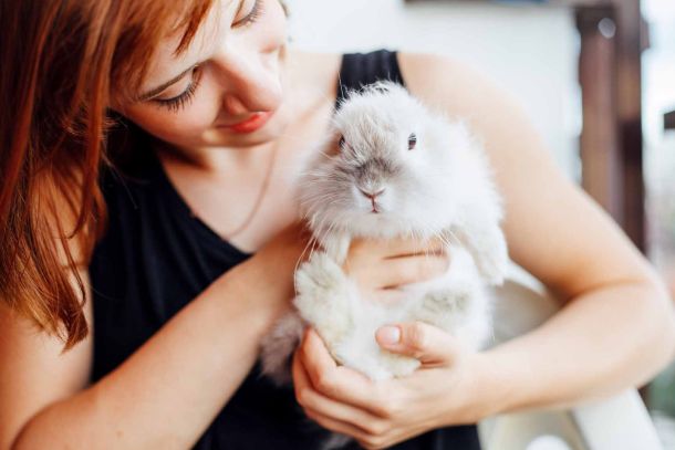 ljubimci-bespoke-jet-3