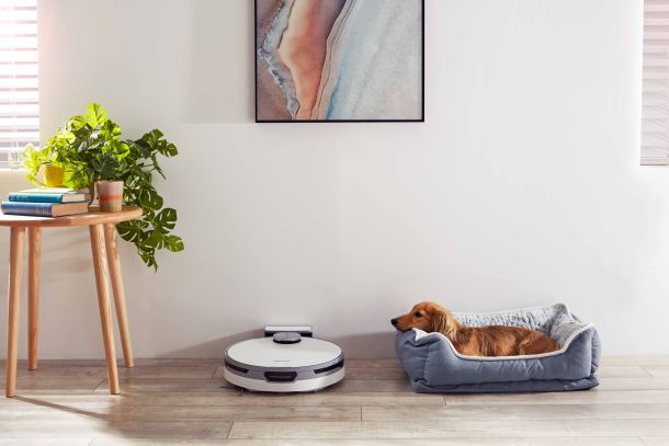 ljubimci-bespoke-jet-6