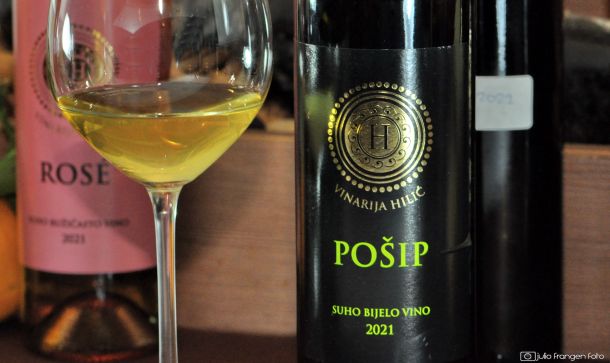 predstavljanje-hilic-vina-3