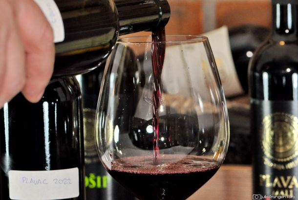 predstavljanje-hilic-vina-5