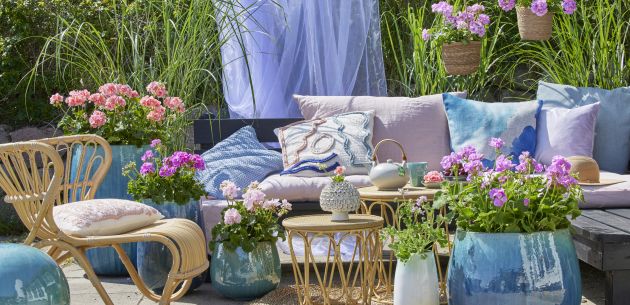 Što treba uzeti u obzir pri kupnji biljaka – savjeti za kupnju pelargonija