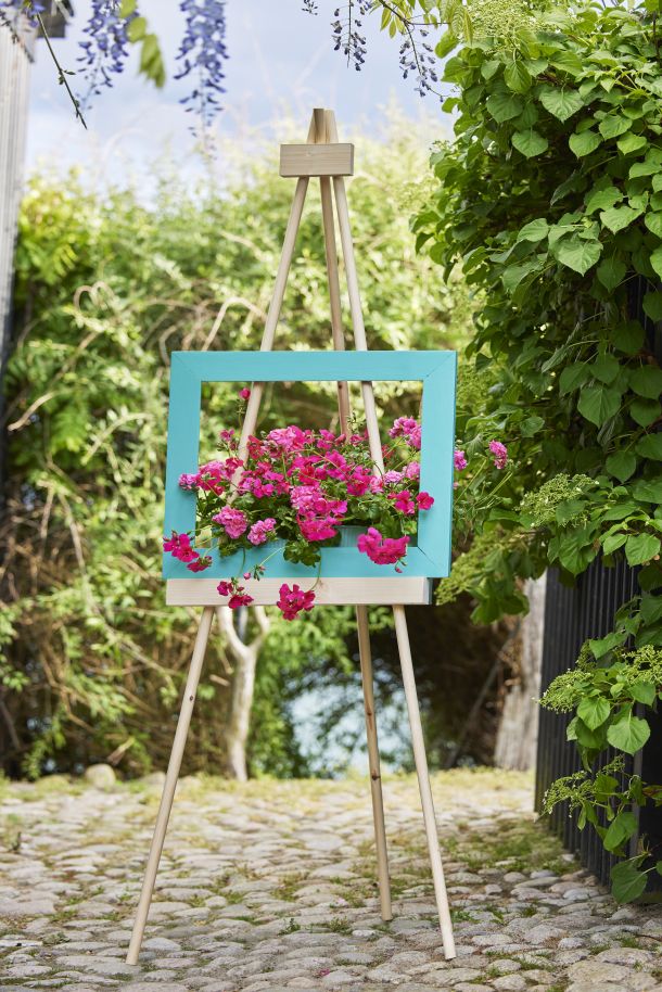pelargonija-savjeti-9