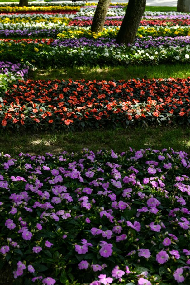 57-floraart-2