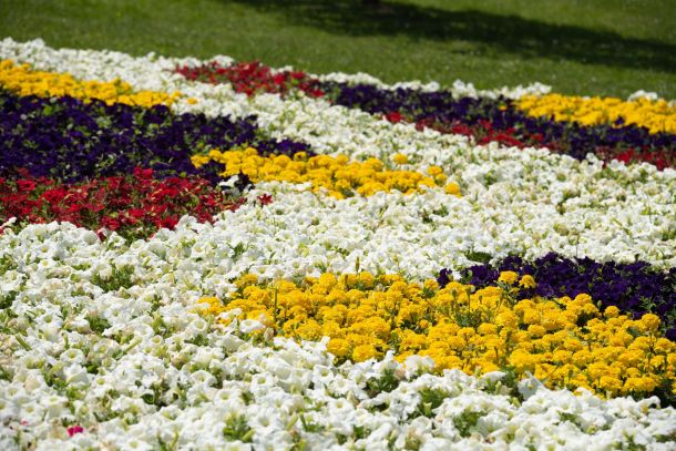 57-floraart-5