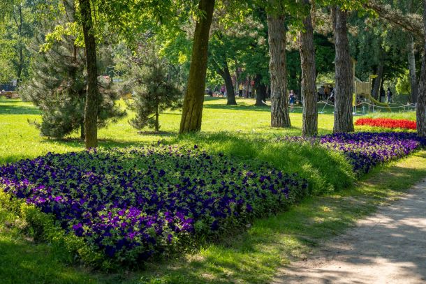57-floraart-6